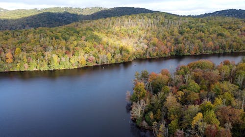 Drone Footage of an Autumn Forest and a Lake 