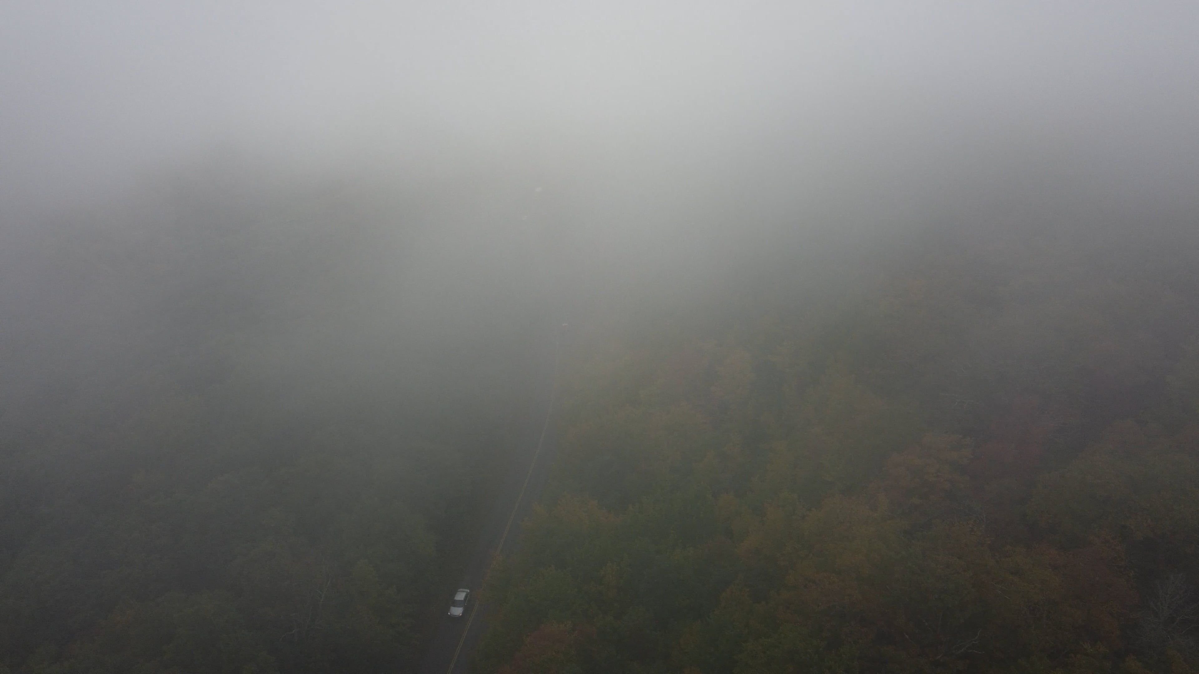 Aerial View of a Foggy Forest Road Free Stock Video Footage, Royalty ...