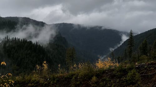 Fog and Moving Clouds in a Mountain Landscape 
