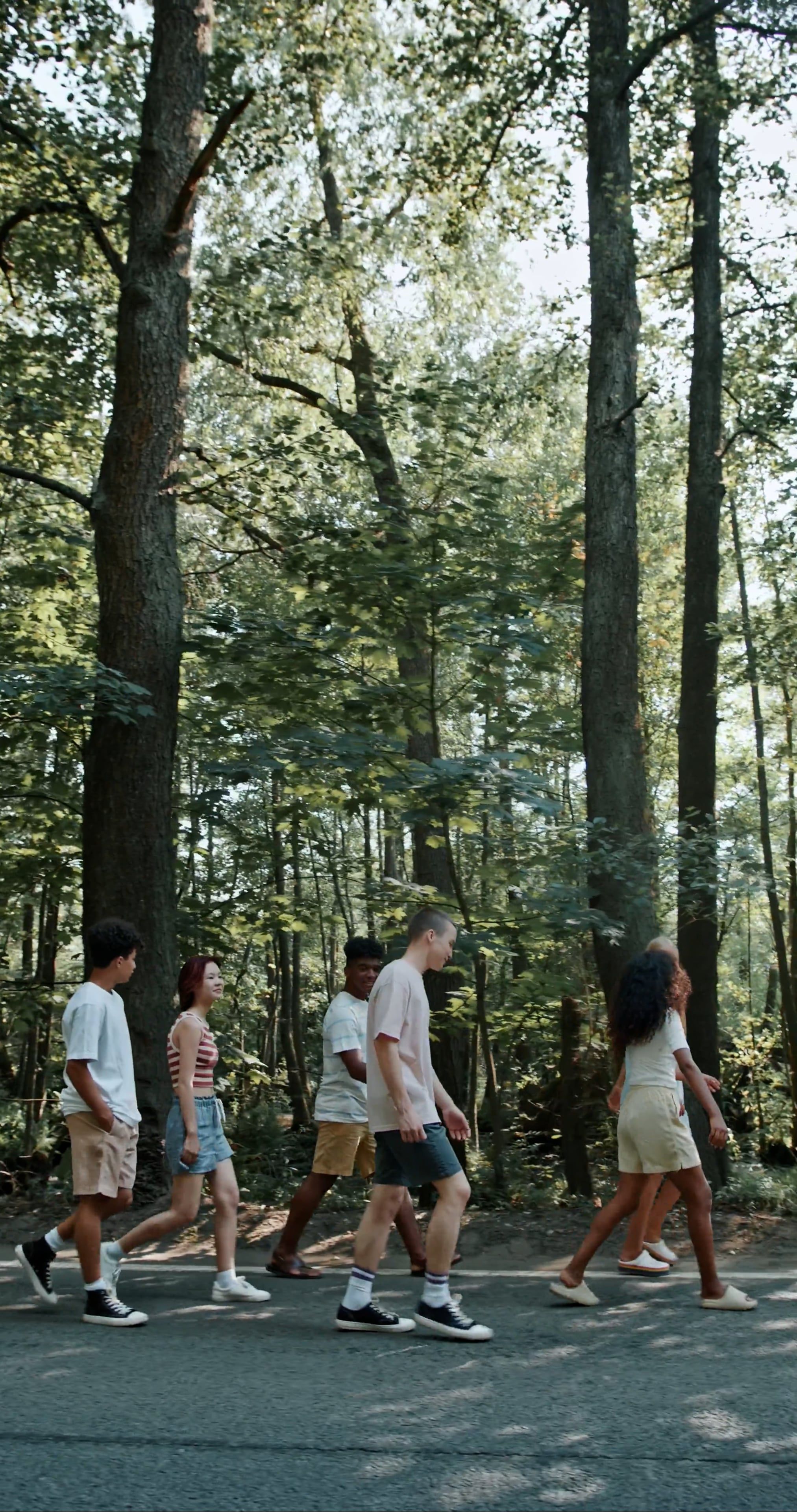 Back View of People Walking in the Forest Free Stock Video Footage ...