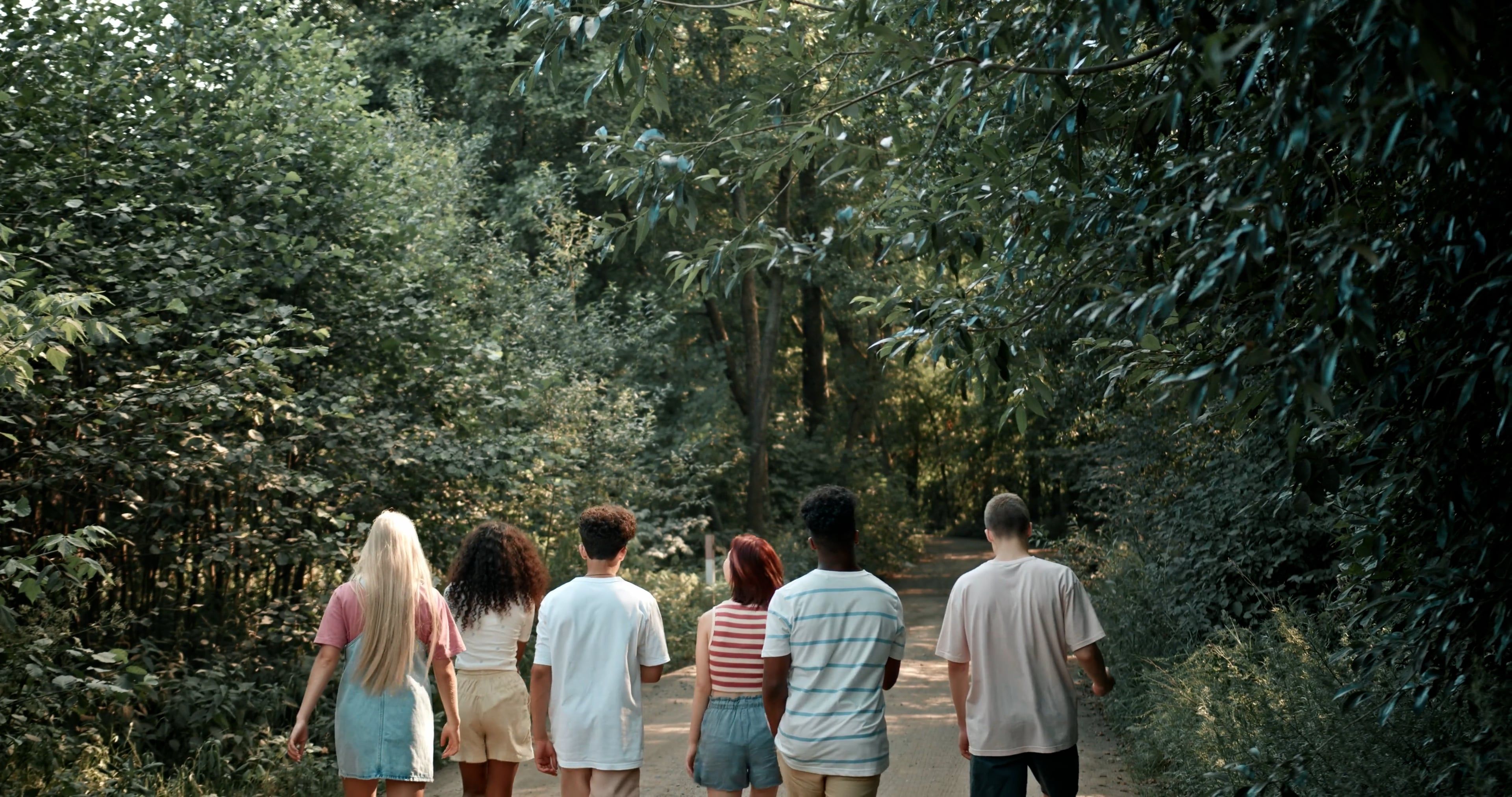 Back View of People Walking in the Forest Free Stock Video Footage ...