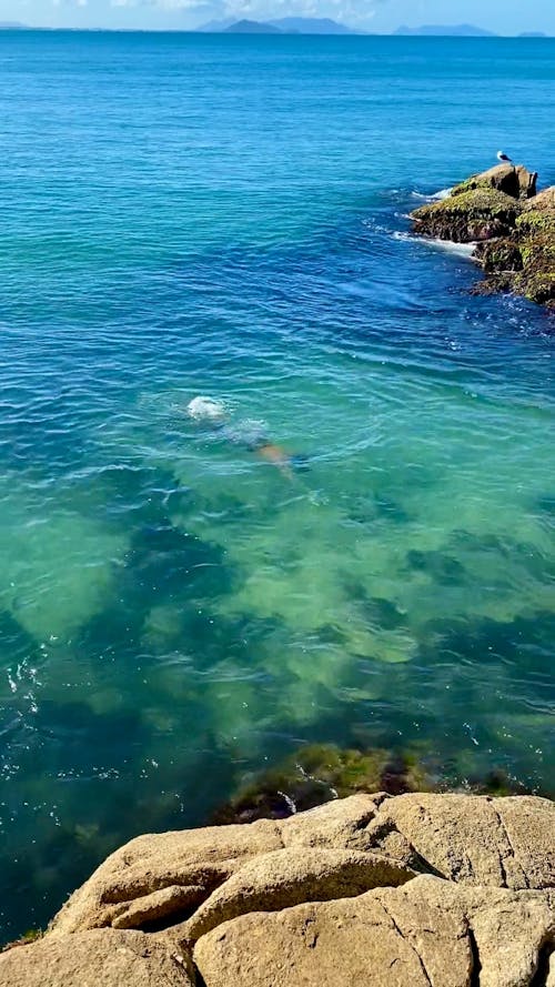 Man Swimming on Sea Shore