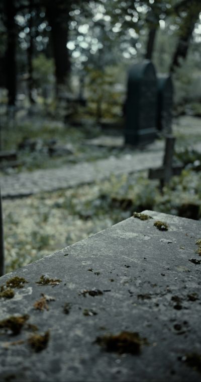cottonbro studio's fantasy landscape cinematic video