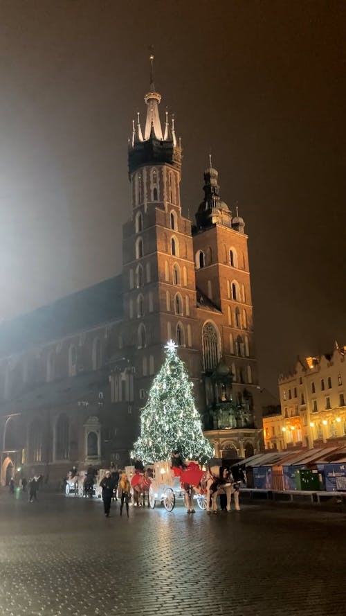 Christmas Tree by Church at Night