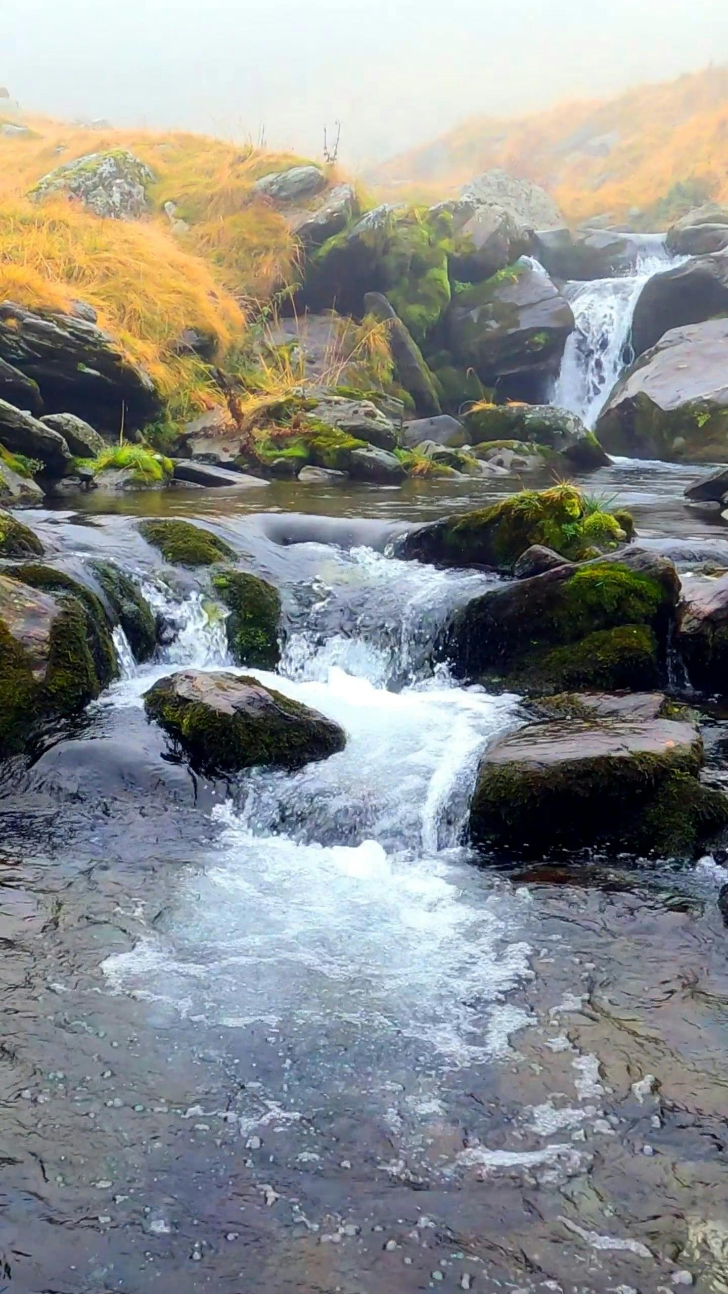 water flowing in cascades on stream 10511755