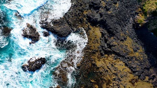 Drone Footage of Waves Crashing on the Shore