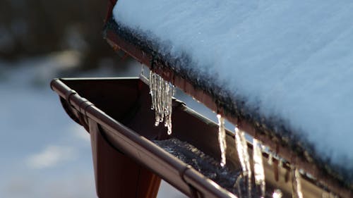 Close-up of Melting Icicles on the Gutter 