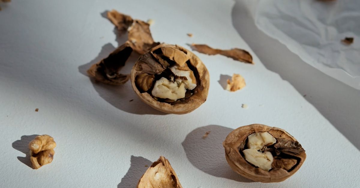 Broken Nut Shell A Person Holding a Cracked Nutshell Free Stock Video Footage, Royalty ...