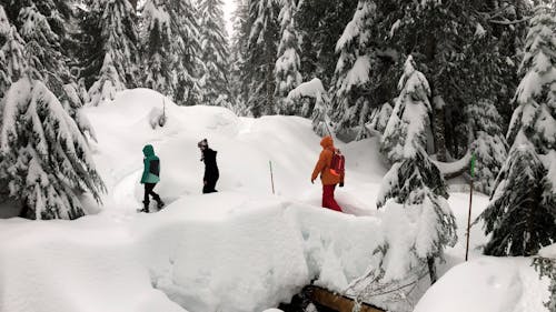 People Hiking in an Area with Heavy Snowfall