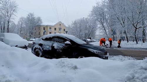 Snowcapped Cars in Town