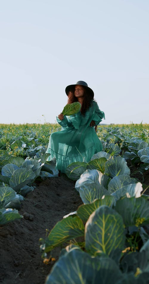 A Using a Leaf as a Fan While Sitting in a Cabbage Farm
