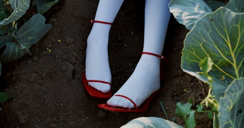 A Woman Placing Leaves in a Sun Hat While Sitting in a Cabbage Farm