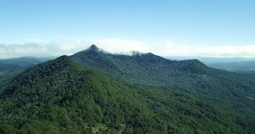 Mountains Densely Covered with Forest