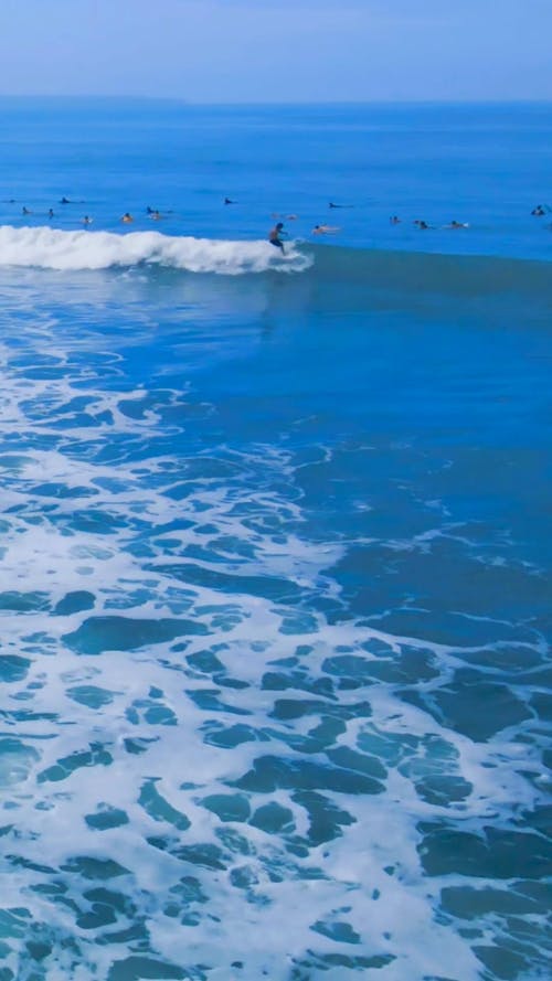 Surfer Surfing on Wave