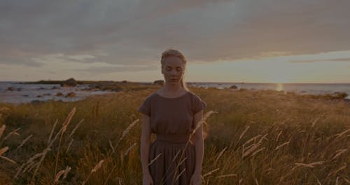 Nature Performance under Moody Sky at Sunset