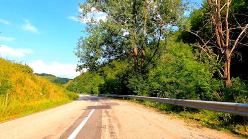 Driving on Road in Forest