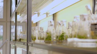 生物实验室高清视频高清视频视频素材