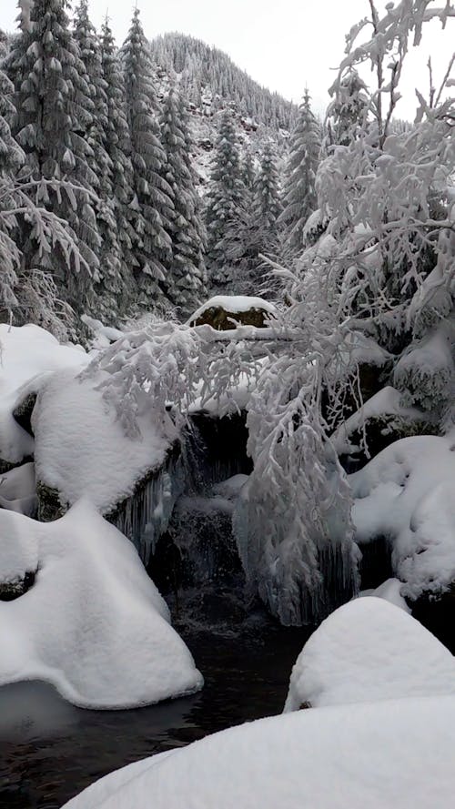 Snow around Stream in Winter