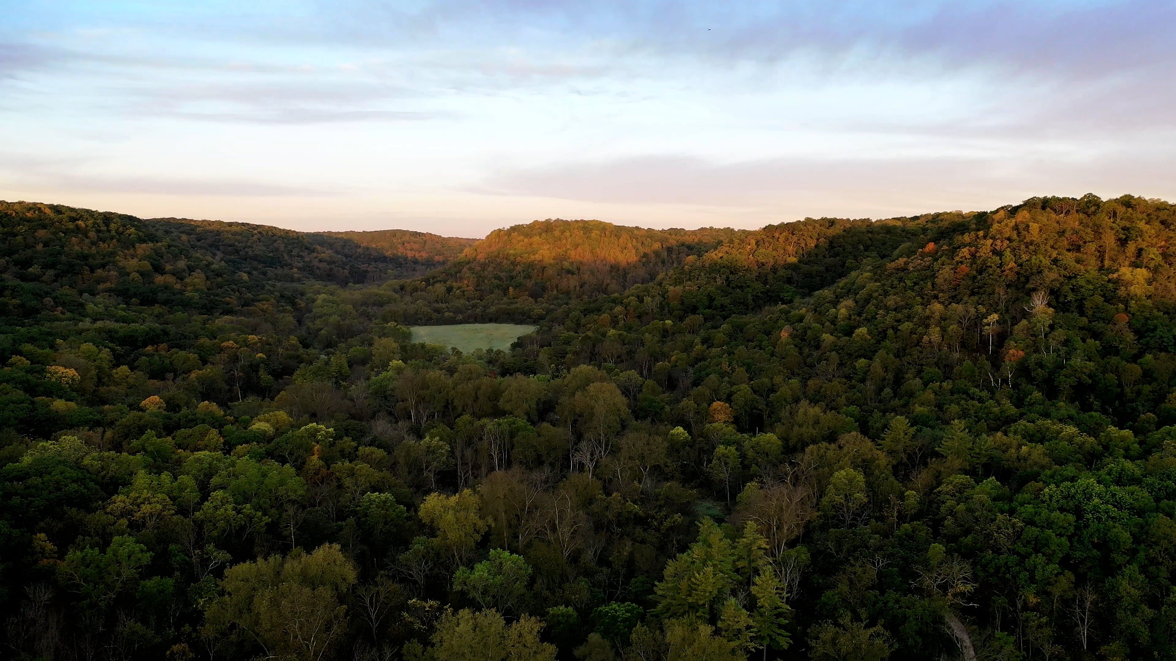 Drone Footage of a Dense Forest on a Hill Free Stock Video Footage ...