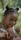 young girl