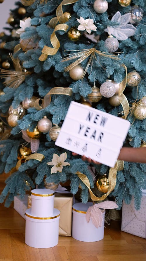 New Year Card in front of Christmas Tree