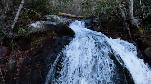 Close up Shot of a Waterfall in the Forest 