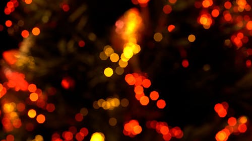 Blurred Christmas Lights with Bokeh Effect