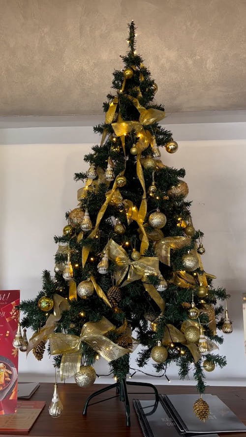 An Illuminated Christmas Tree with Golden Decorations