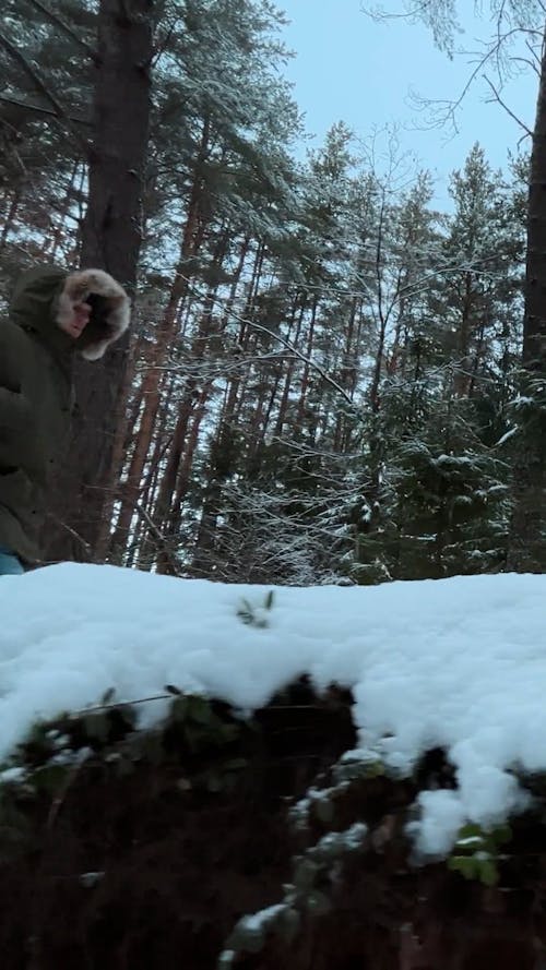 Man with Instrument Cover Walking in Forest at Winter