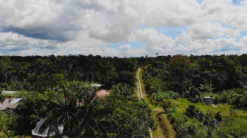 Road in Amazon Jungle in Colombia