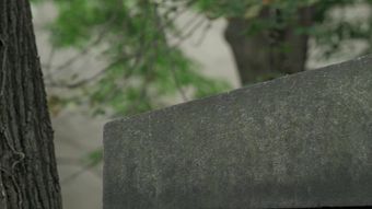和平大钟免费下载视频素材
