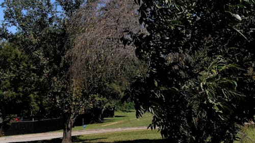 Public Park and Architecture in Raleigh, North Carolina, USA