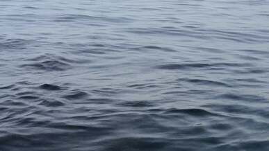 moving and waving water surface