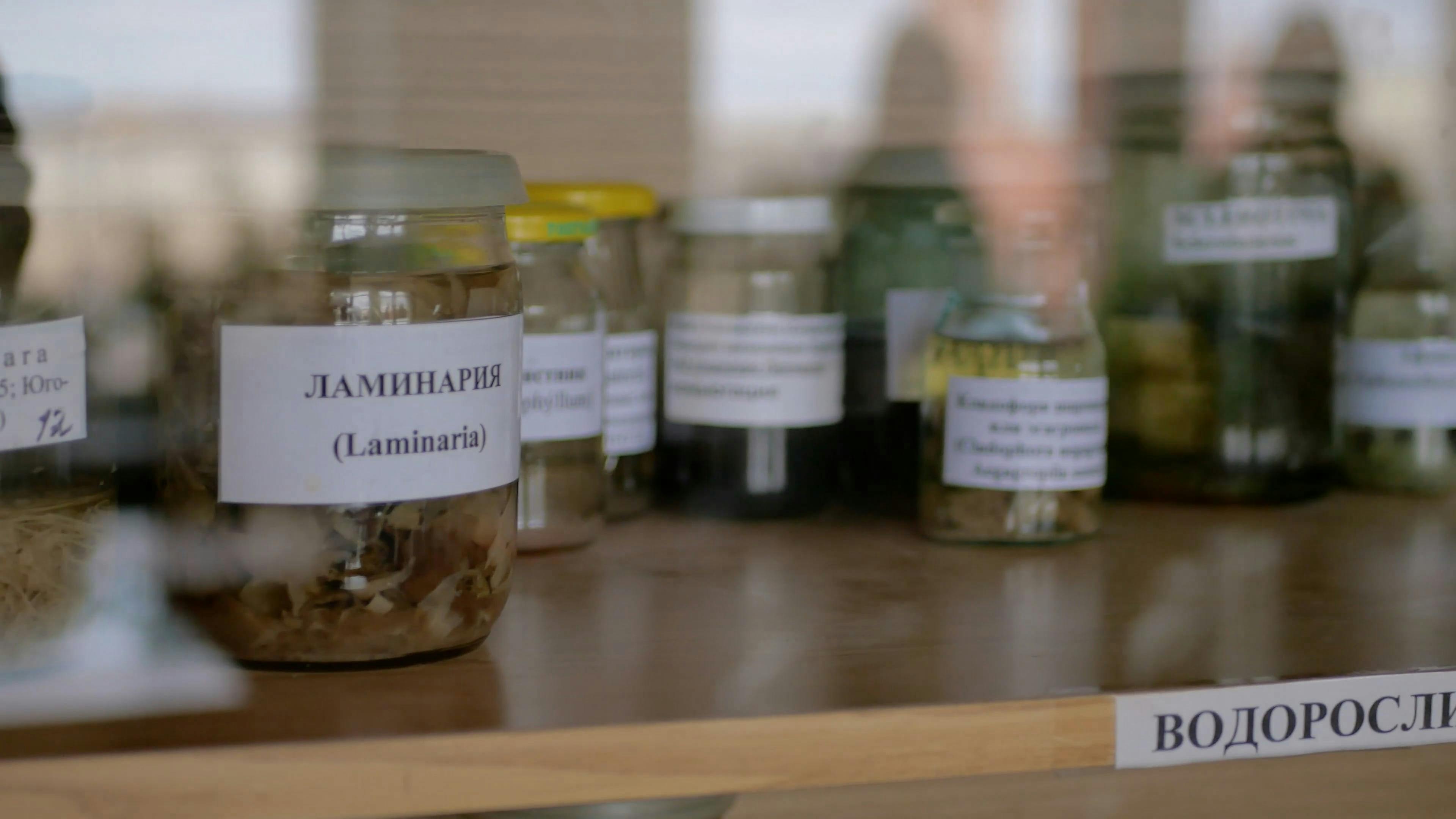 Algae Science Videos, Download The BEST Free 4k Stock Video Footage