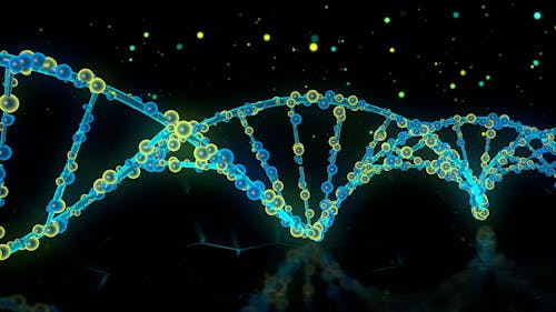 An Animation of a DNA Sequence