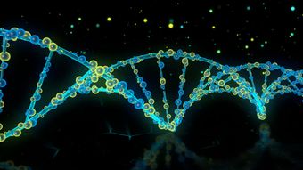 Dna