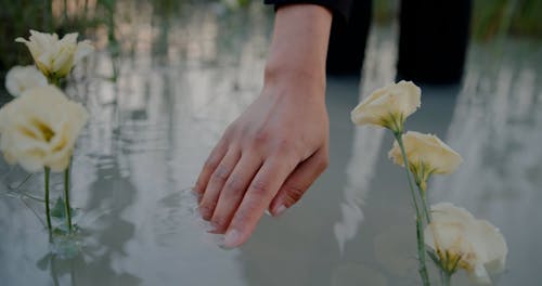 Woman Hand Moving in Water near Flowers