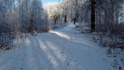 Drone Footage of a Snow Covered Town Free Stock Video Footage, Royalty ...