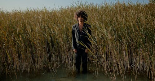 Man Standing among Rushes