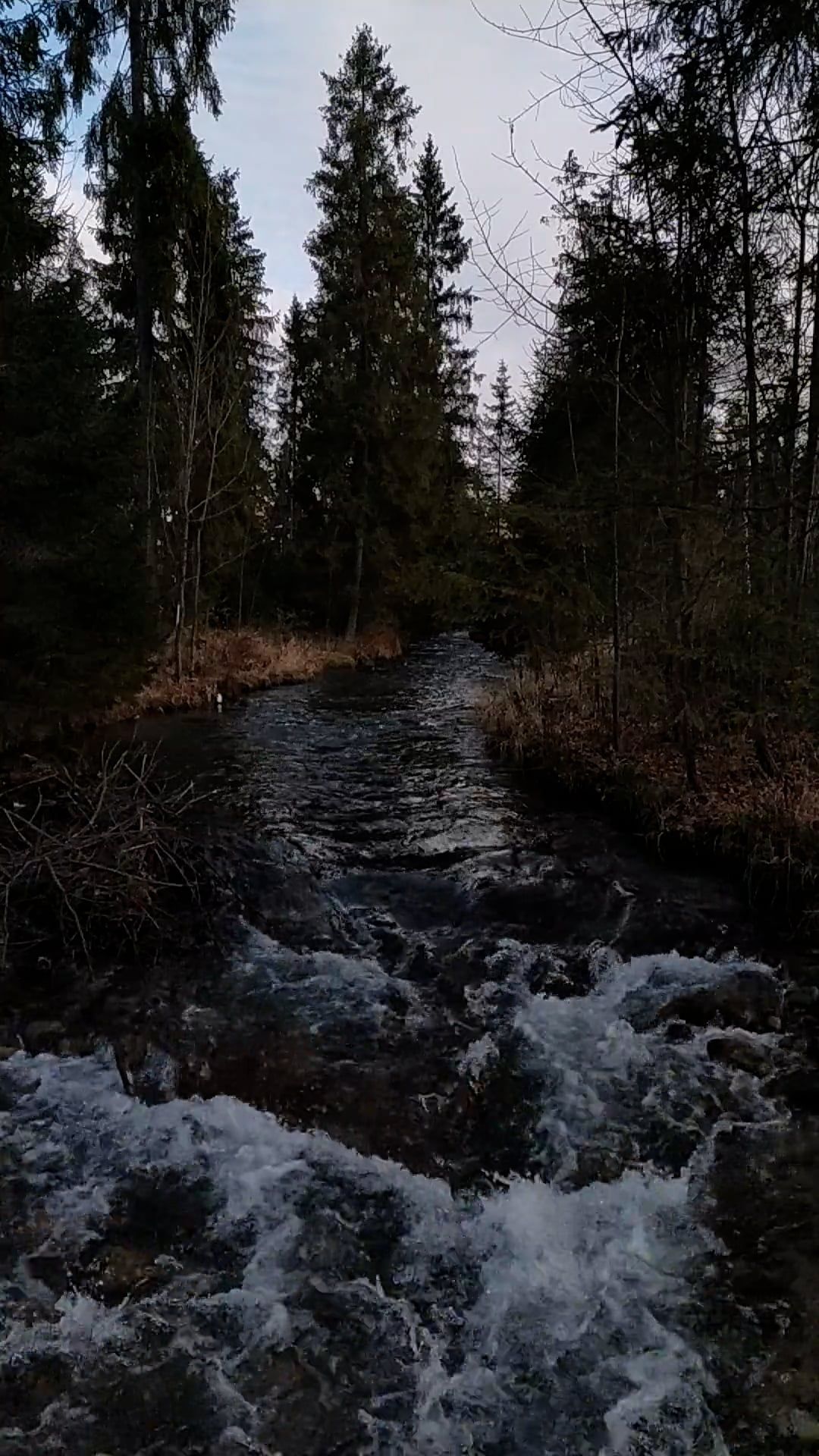Video by Vladyslav Kalashnyk