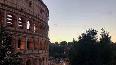 flock of birds flying over colosseum