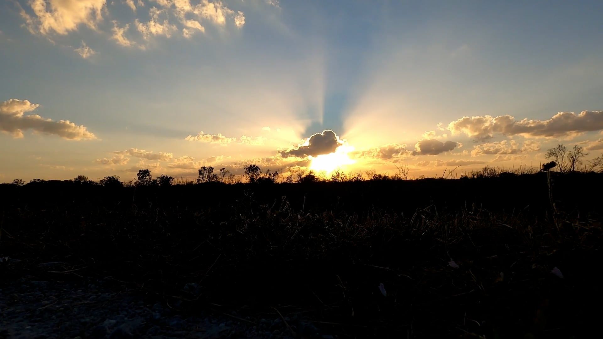 clouds over sun during sunset 10720792