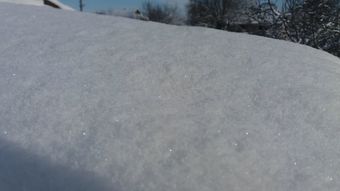 雪蛤视频素材视频素材