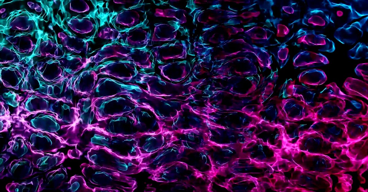 Trippy Abstract Animation Free Stock Video Footage, Royalty-Free 4K & HD Video Clip Trippy Abstract Animation Free Stock Video Footage, Royalty-Free 4K & HD Video Clip