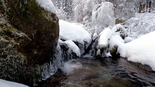 Rock by Stream in Forest in Winter