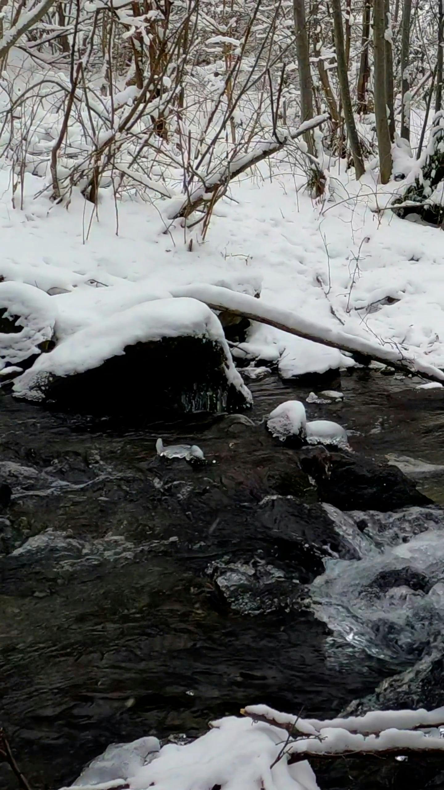 Video by I Am Sorin