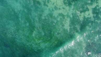 drone footage of turquoise sea water and coral reef