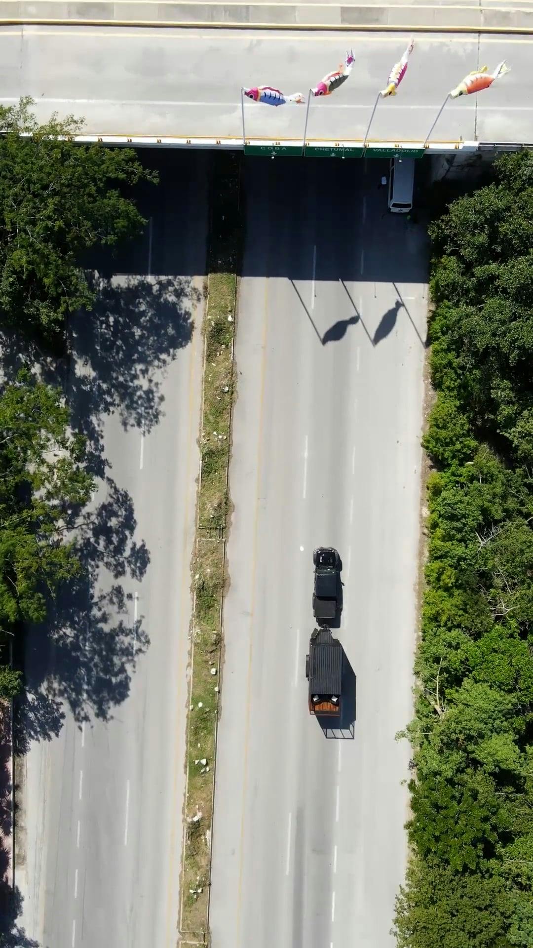 Video by Amar  Preciado