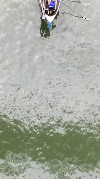 龙舟高清视频视频素材