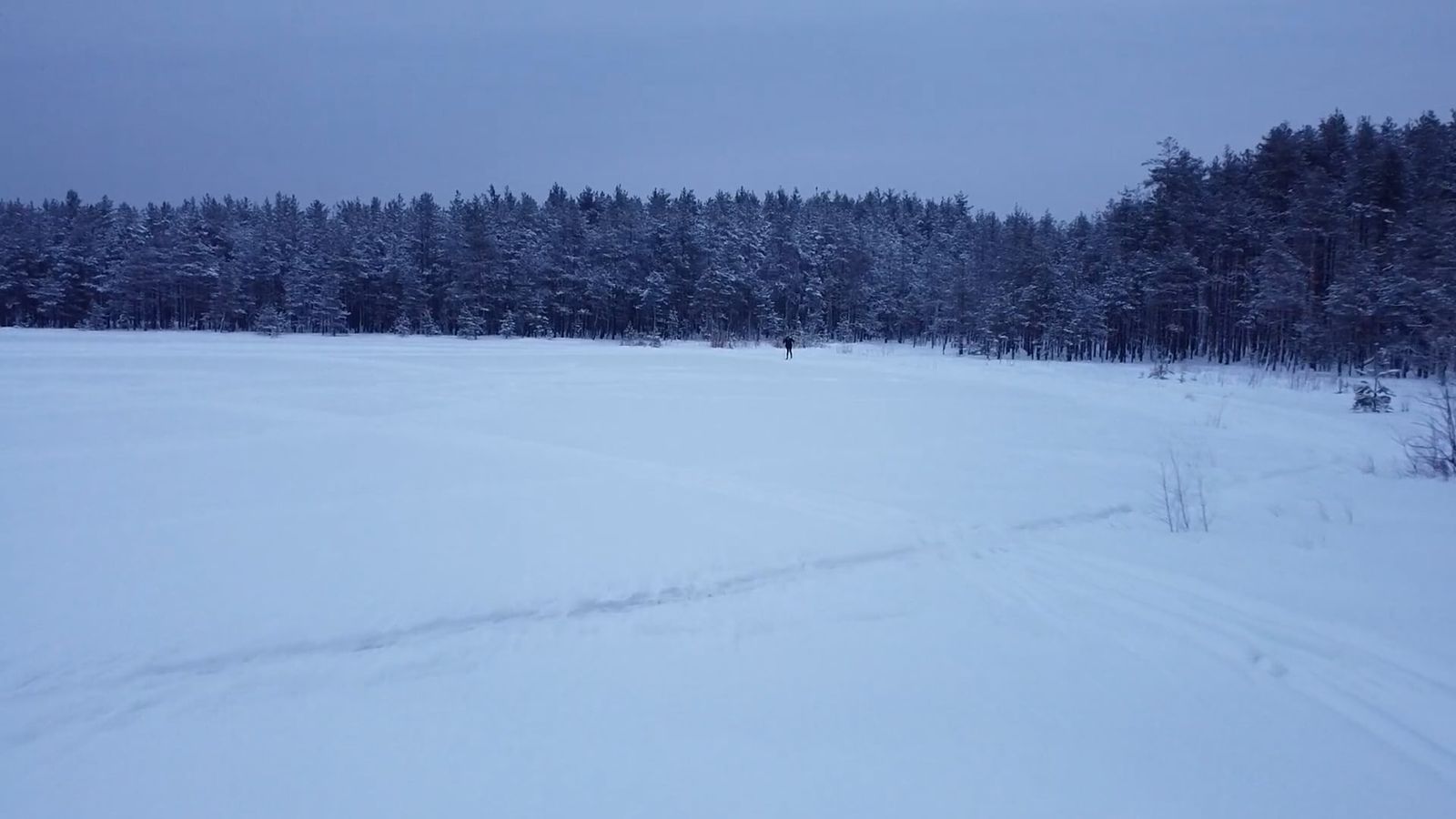 Serene Snowy Forest Landscape in Winter Free Stock Video Footage ...